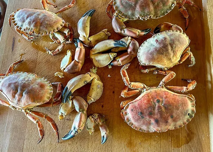 Semesterbostad Amazing In With Wifi Mandal